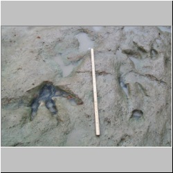 100_0986 (2009-28-07)m.JPG